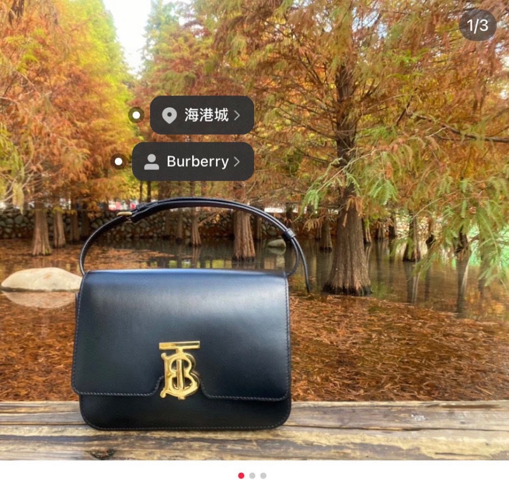 Ezyycart Bags Burberryn Luxury Bag --92589
