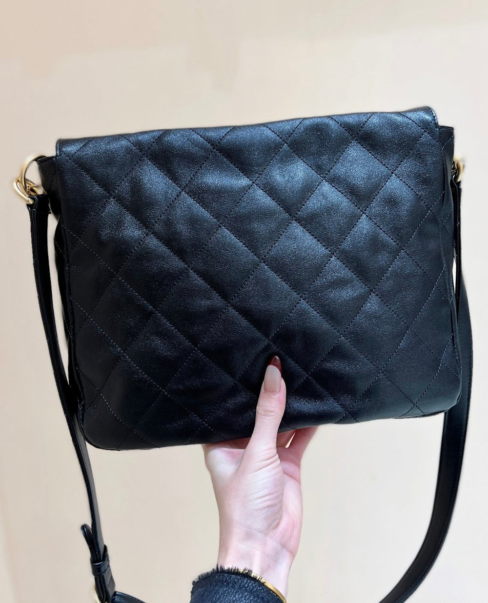 new-designer-premium-bags-nm10145