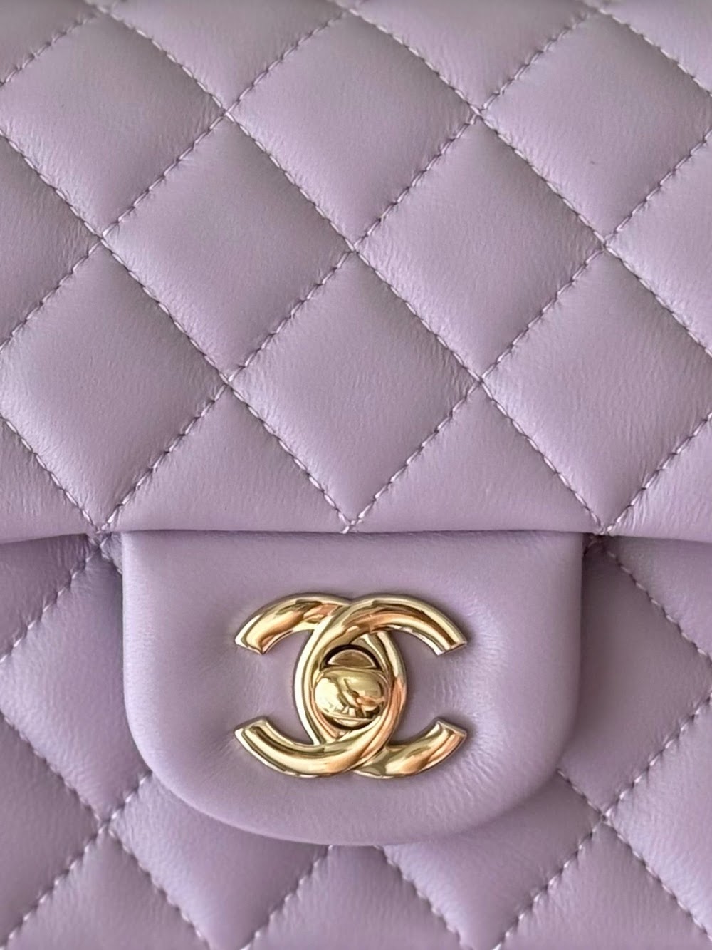 Anum Bags CHn Luxury Bag --112988
