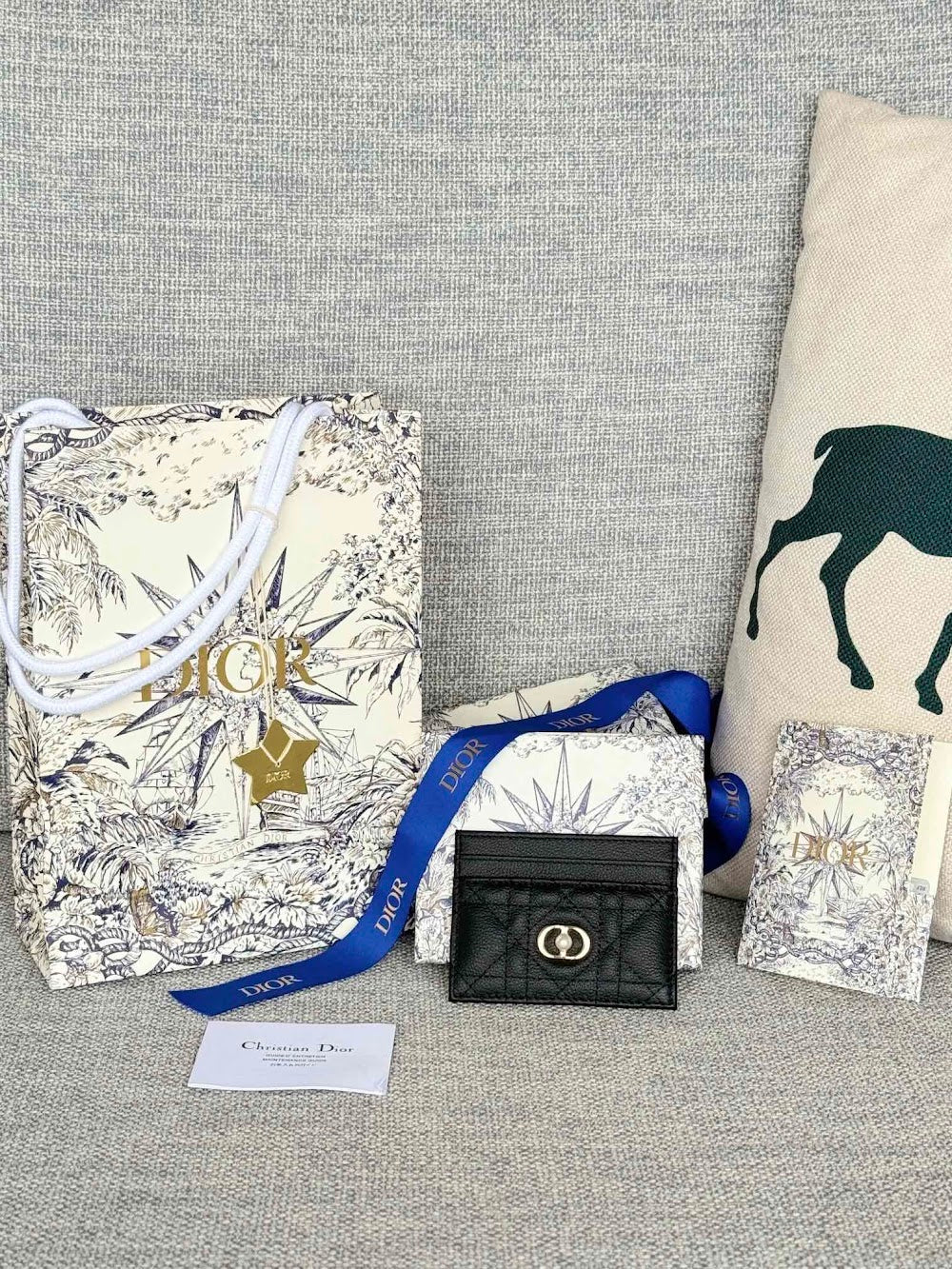 Anum Bags Diorn Luxury Bag --114520