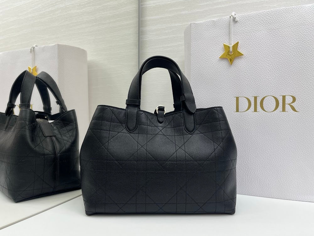 Ezyycart Bags Diorn Luxury Bag --115389