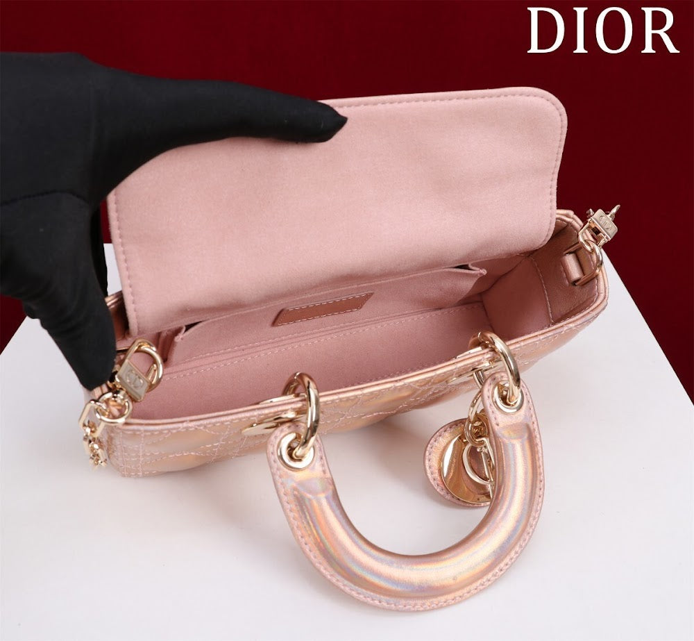Anum Bags Diorn Luxury Bag --114737