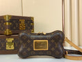 Anum Bags ln Luxury Bag --56691