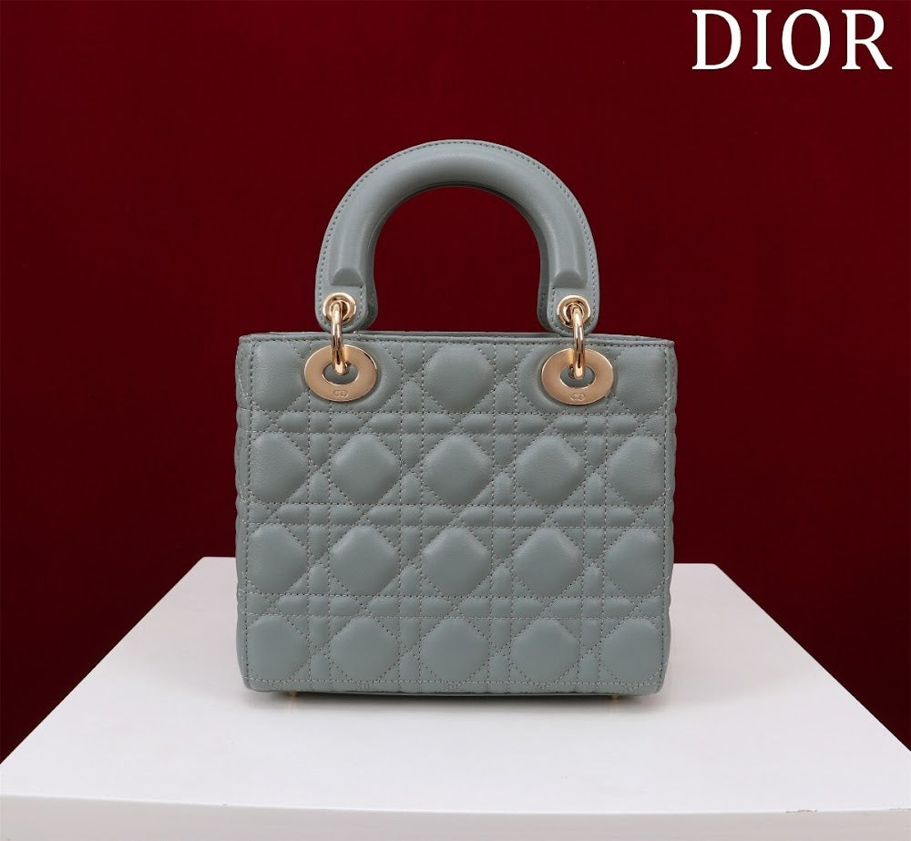 Ezyycart Bags Diorn Luxury Bag --115912
