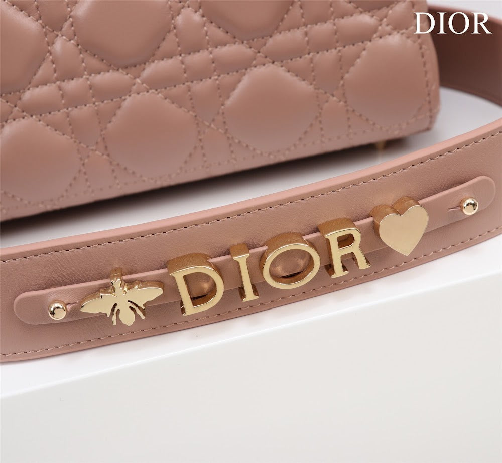 Ezyycart Bags Diorn Luxury Bag --115918