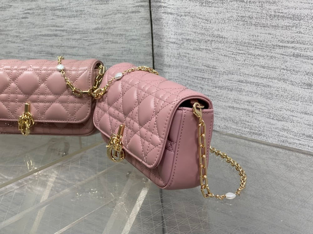Ezyycart Bags Diorn Luxury Bag --115098
