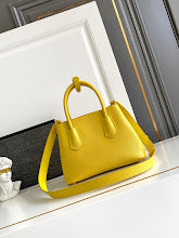Ezyycart Bags new-luxury-designer-bags-nm2251