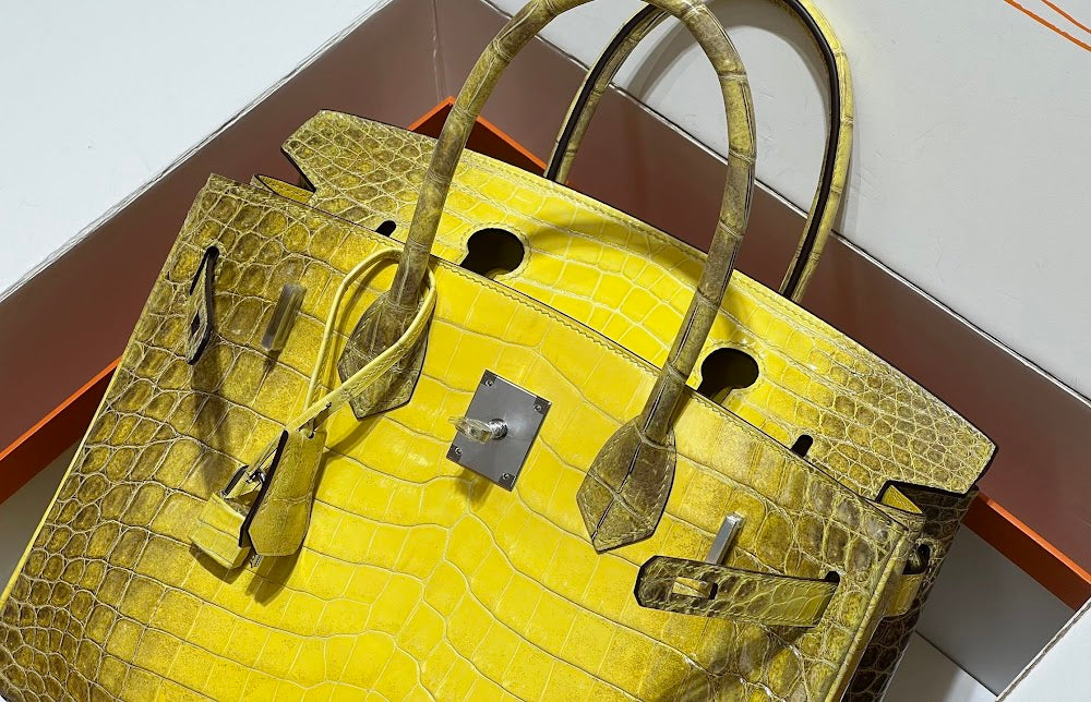 Anum Bags Hermesn Luxury Bag --117207