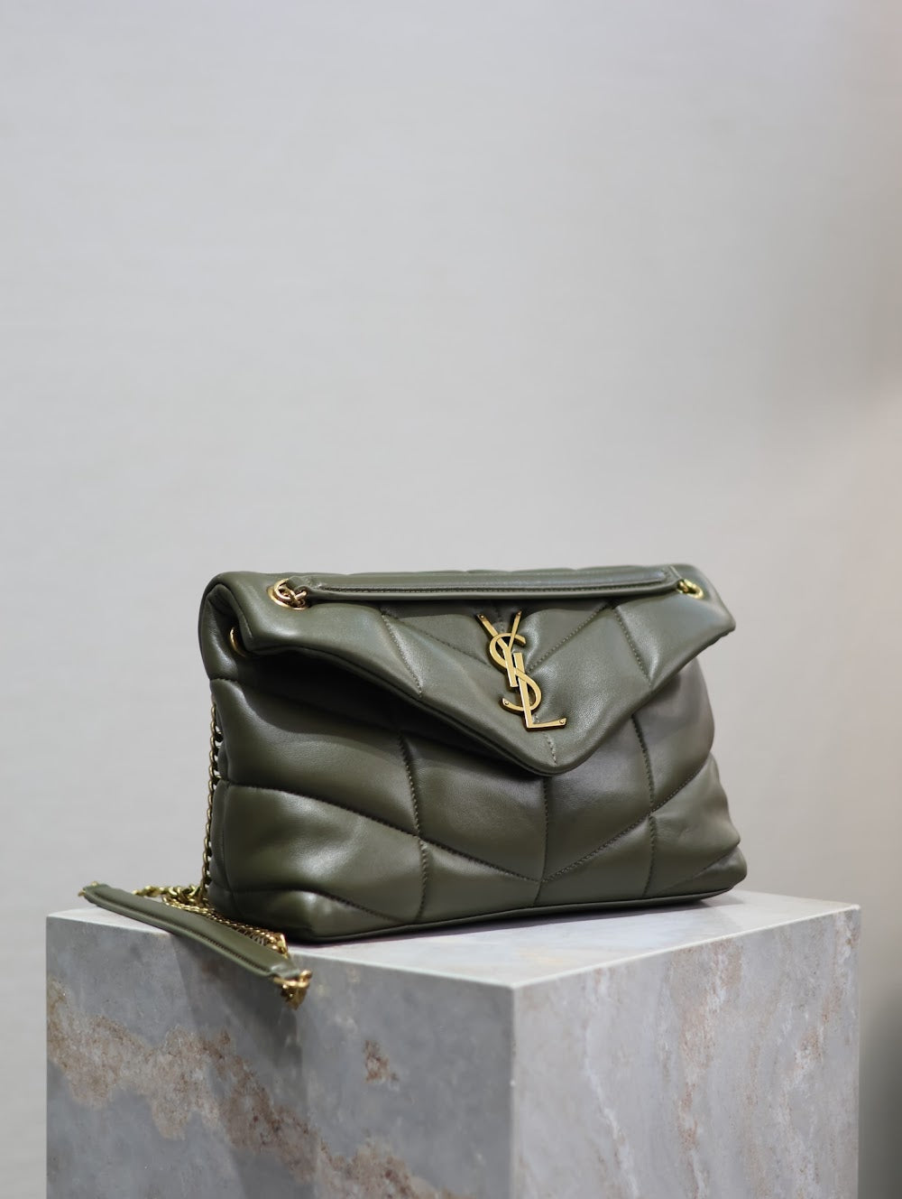 Ezyycart Bags YSLn Luxury Bag --119420