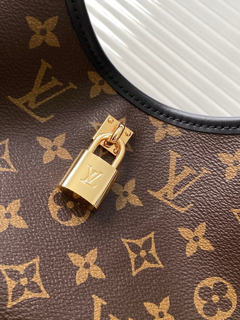 Anum Bags LVn Luxury Bag --79675