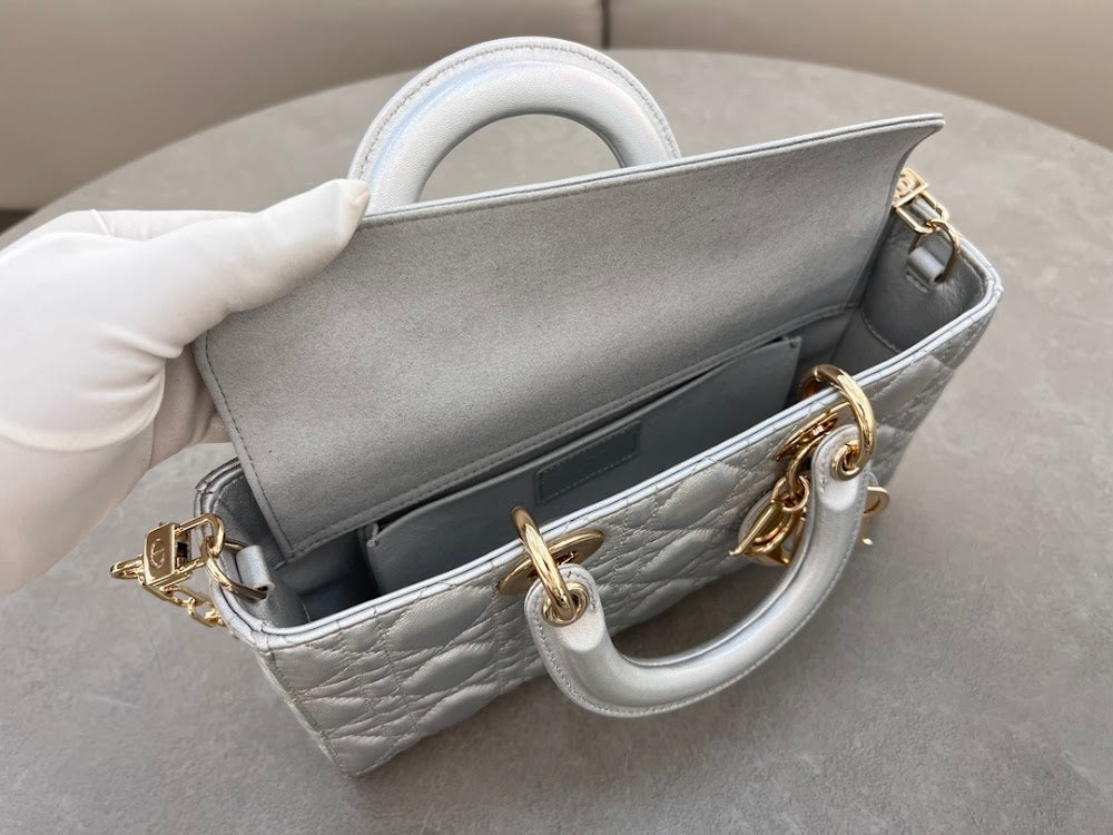 new-designer-premium-bags-nm16215