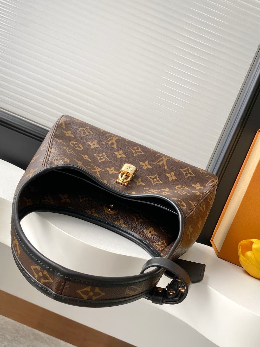 Anum Bags LVn Luxury Bag --79683