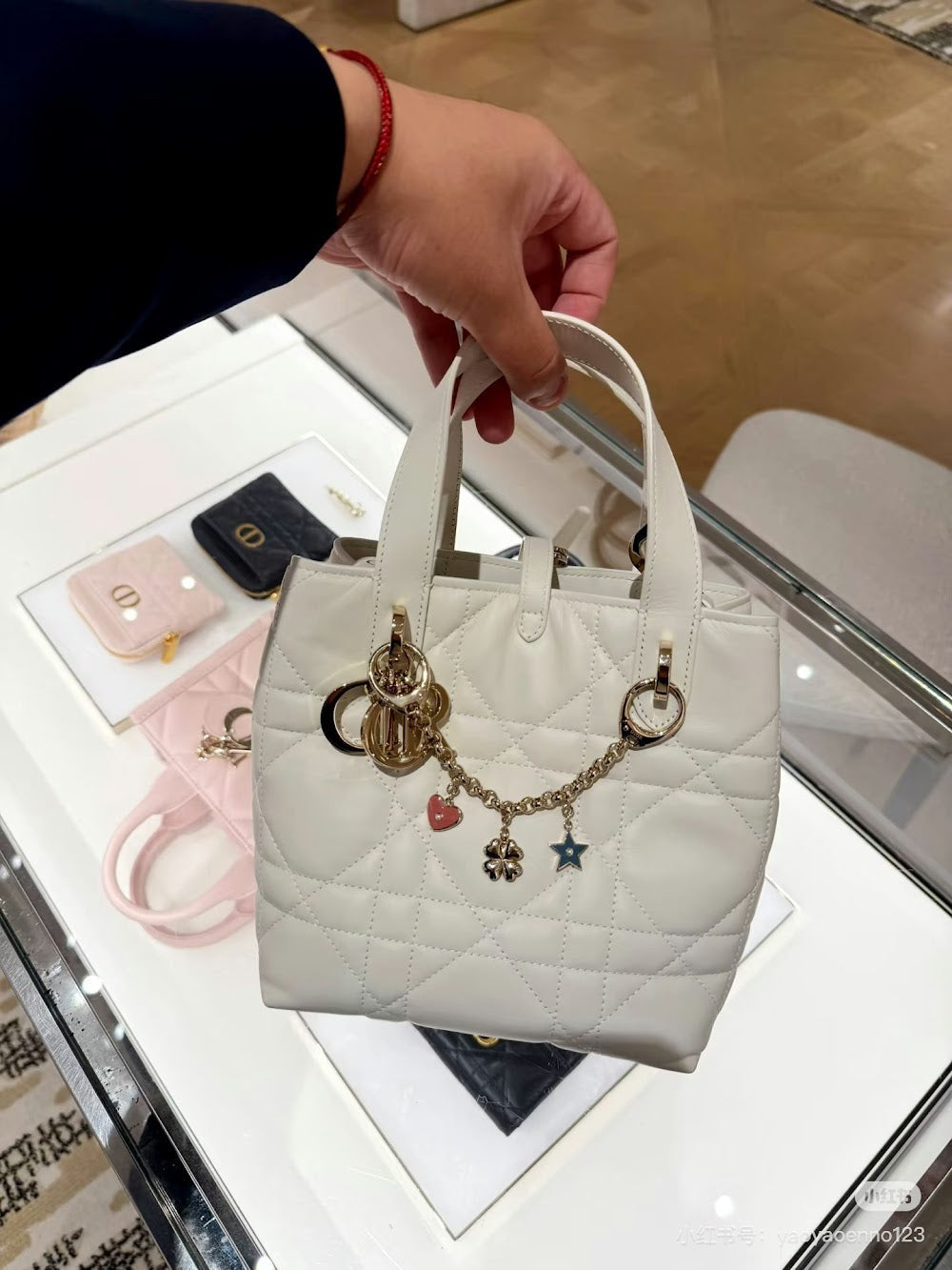 Ezyycart Bags Diorn Luxury Bag --115848
