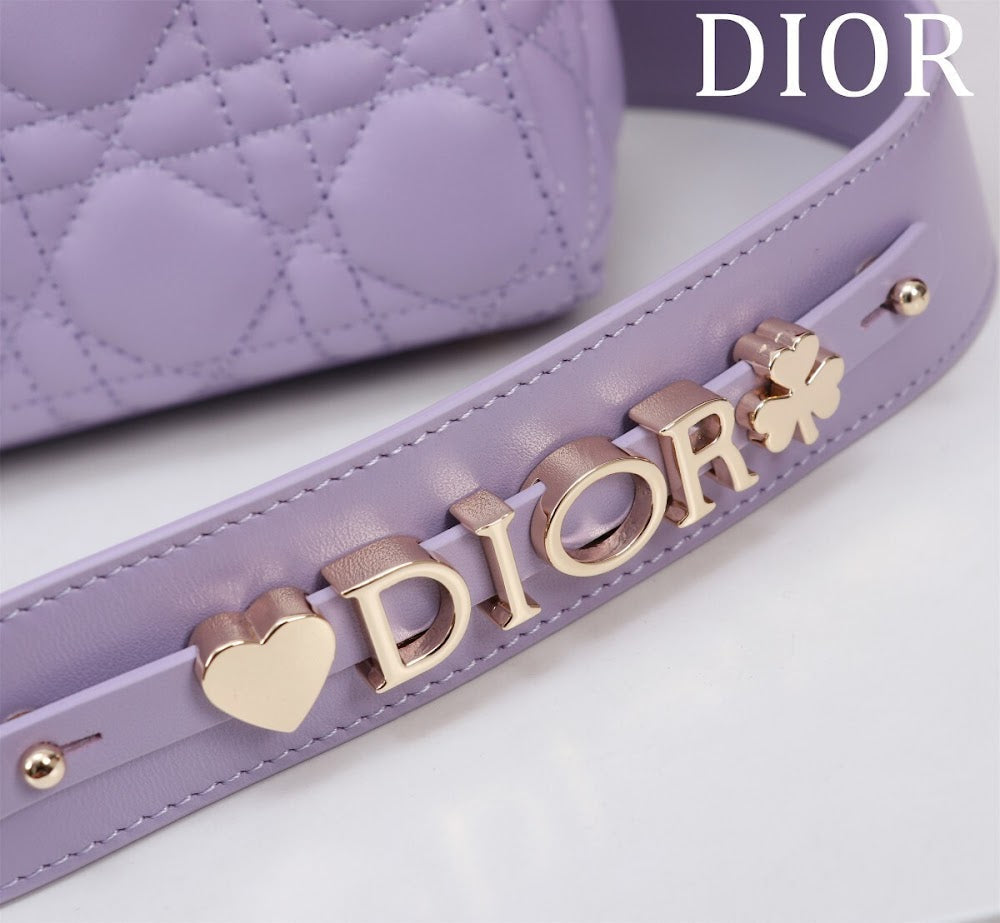Ezyycart Bags Diorn Luxury Bag --115929