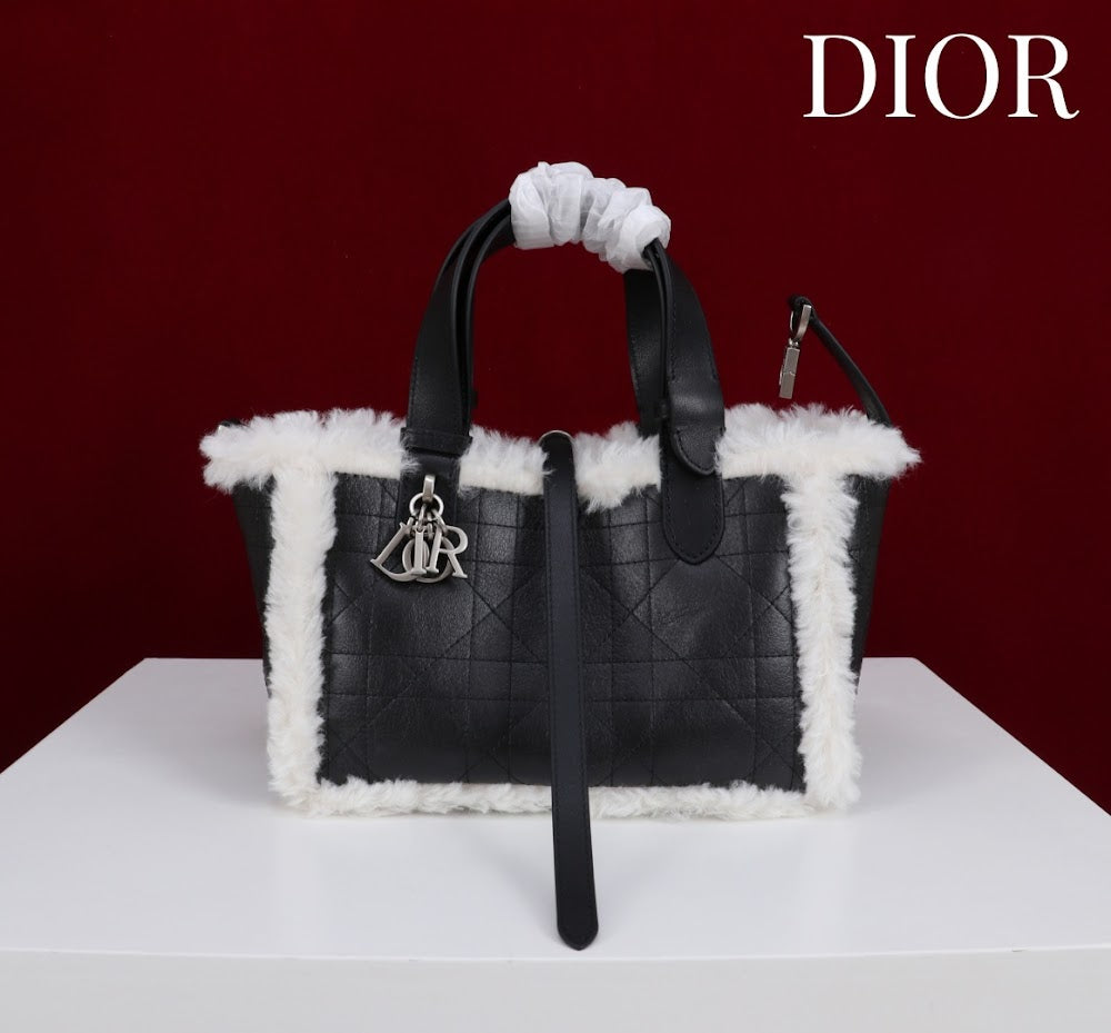 Anum Bags Diorn Luxury Bag --114888