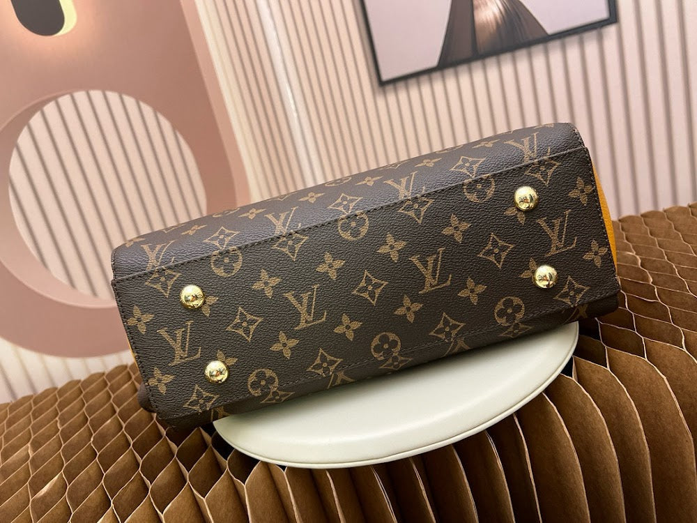 Anum Bags LVn Luxury Bag --79914