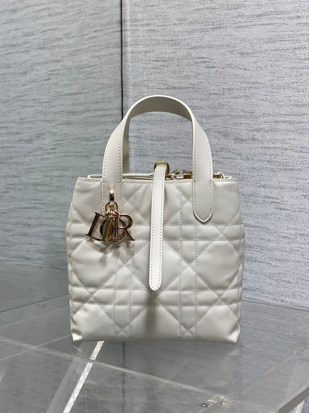 Ezyycart Bags Diorn Luxury Bag --115660