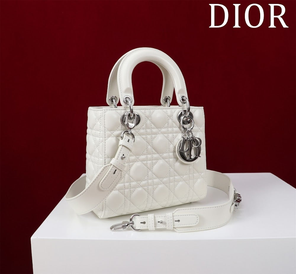 Ezyycart Bags Diorn Luxury Bag --115935