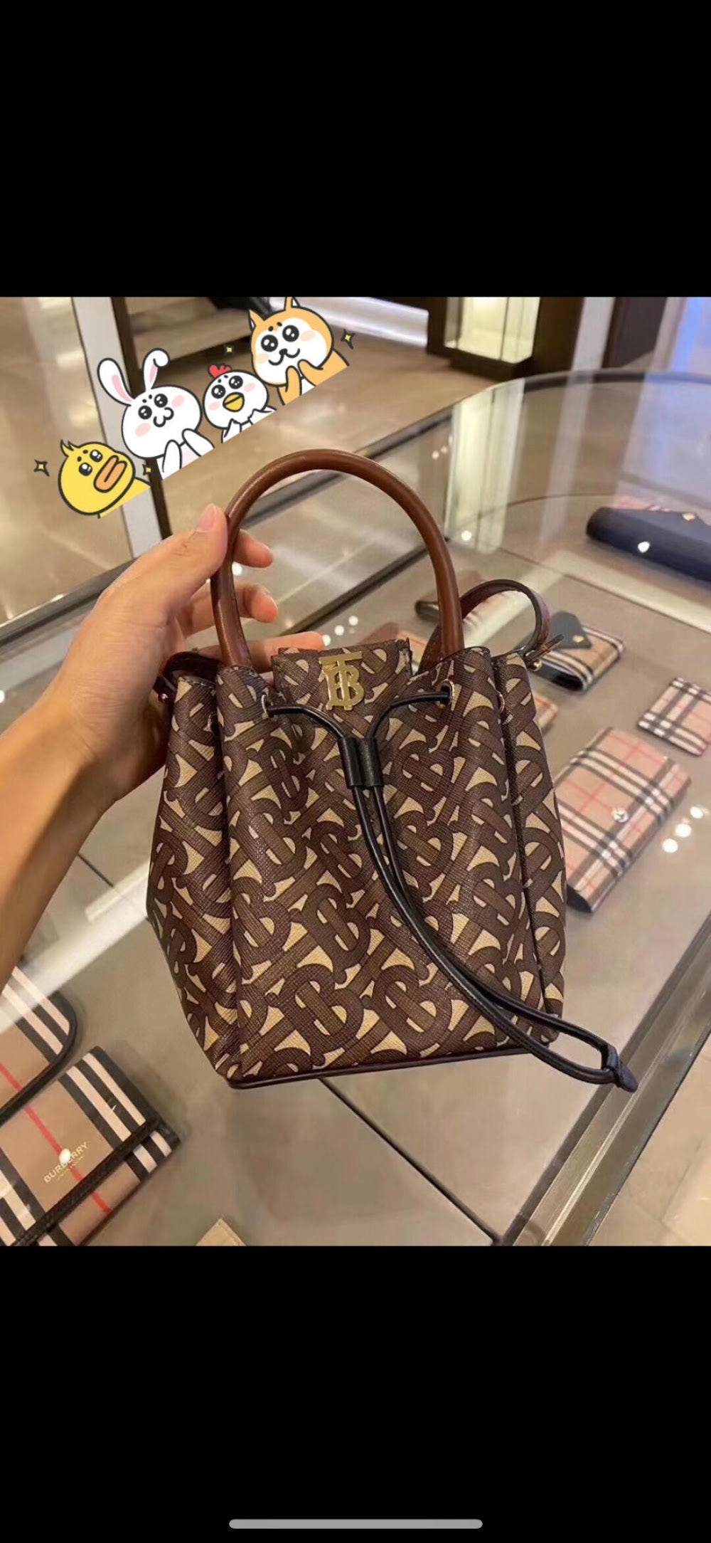 Ezyycart Bags Burberryn Luxury Bag --91630