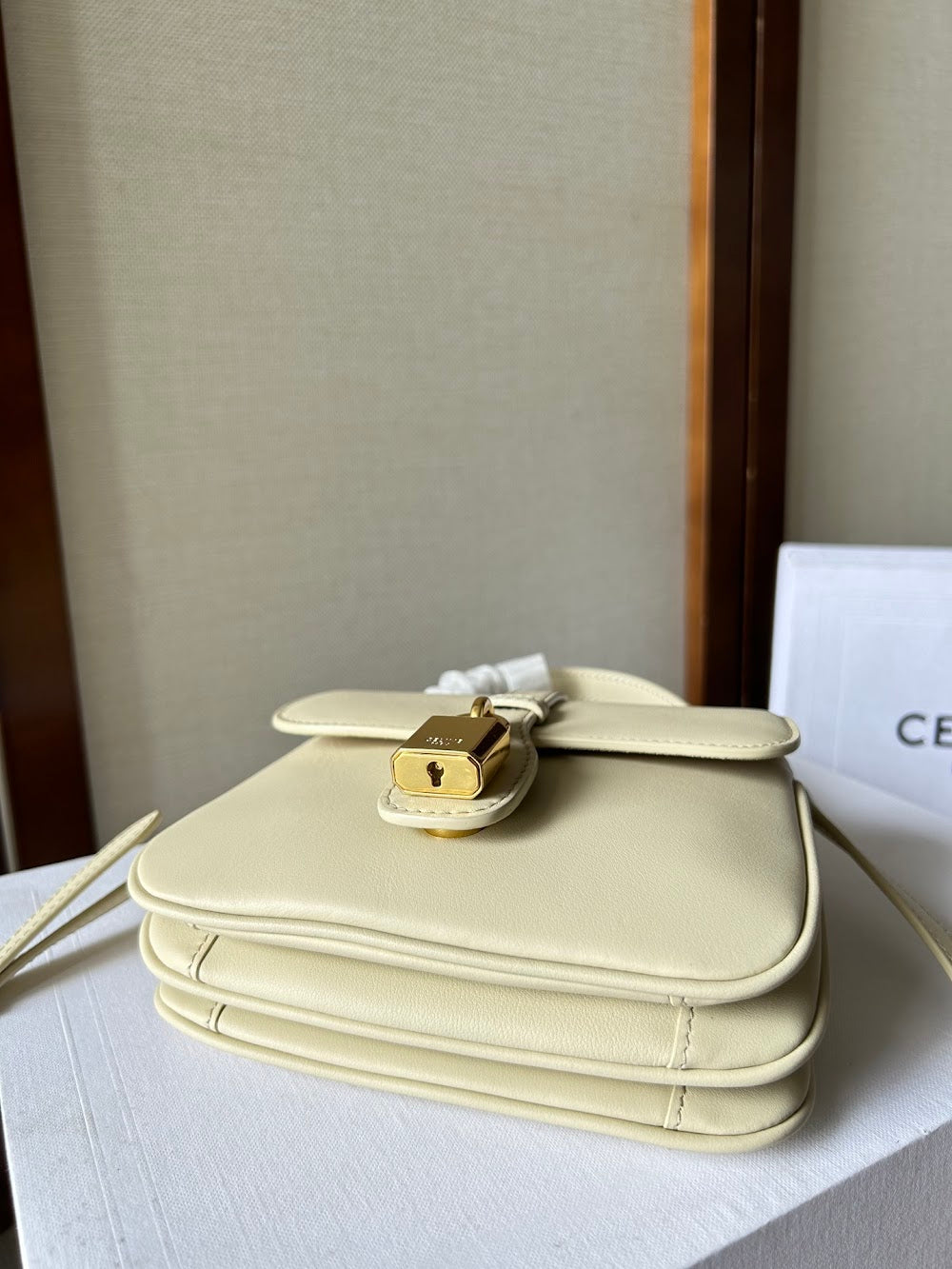 Ezyycart Bags Celine Luxury Bag --112514