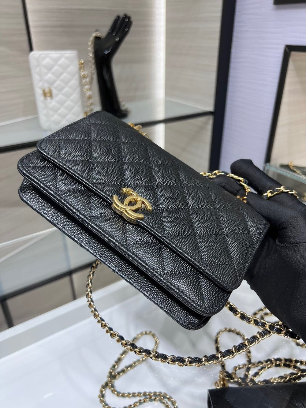 new-designer-premium-bags-nm20699