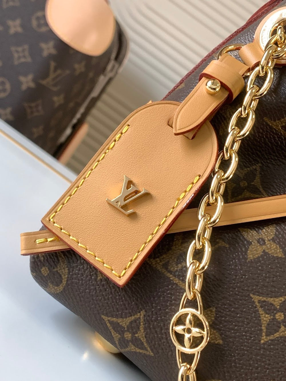 Anum Bags LVn Luxury Bag --79278