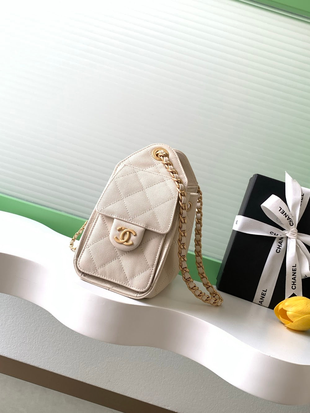 Anum Bags CHn Luxury Bag --114112