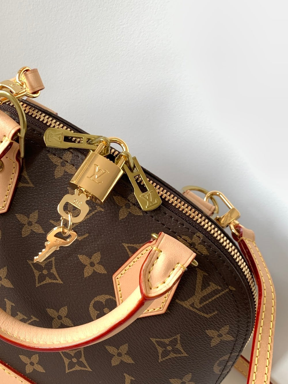 Anum Bags LVn Luxury Bag --79222