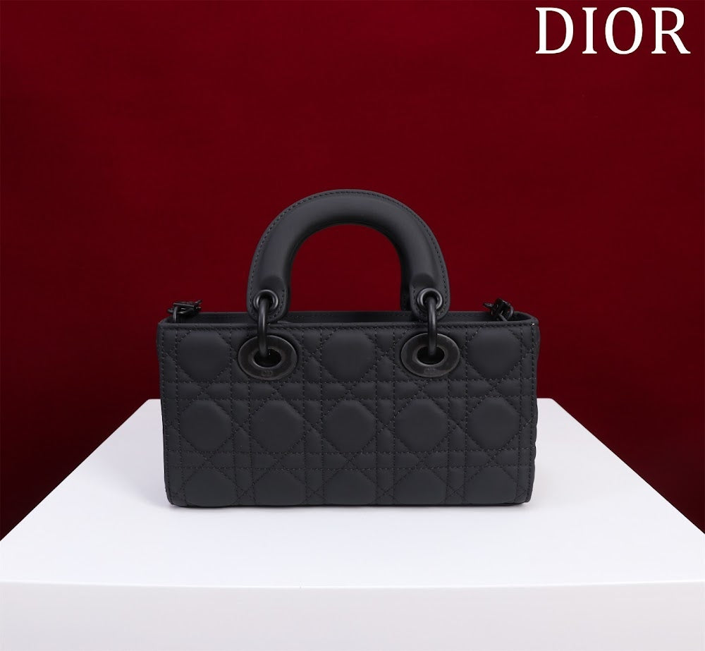 Anum Bags Diorn Luxury Bag --114857