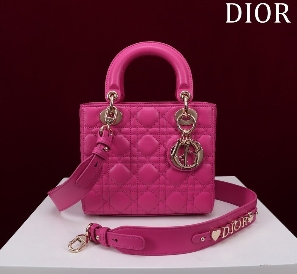 Ezyycart Bags Diorn Luxury Bag --115913