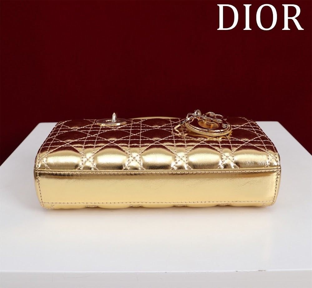 Anum Bags Diorn Luxury Bag --114729