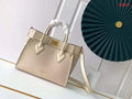 Ezyycart Bags ln Luxury Bag --60501