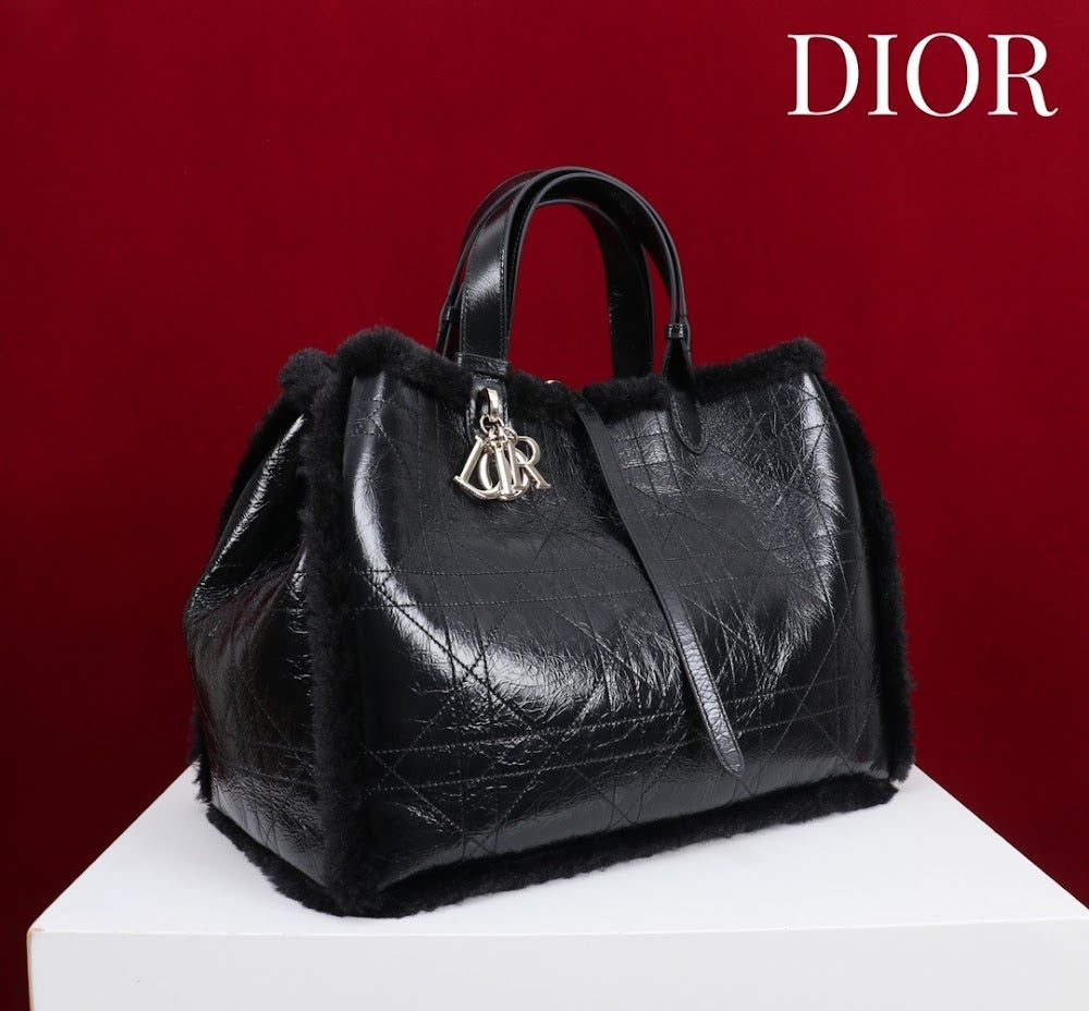 Ezyycart Bags Diorn Luxury Bag --116118