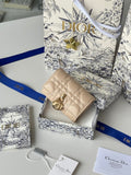 Anum Bags Diorn Luxury Bag --114485