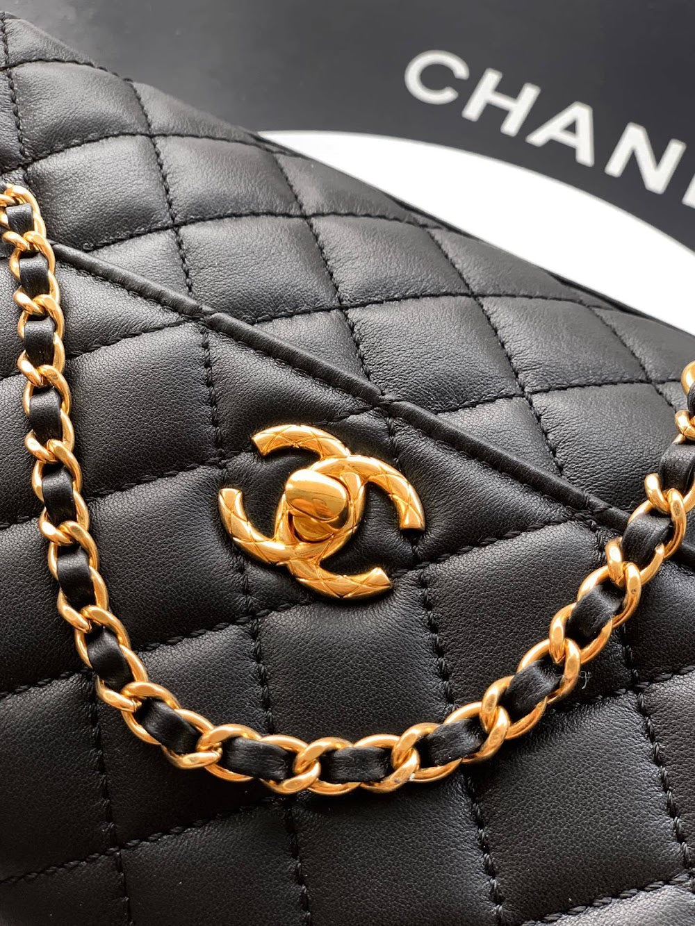 Anum Bags CHn Luxury Bag --113967