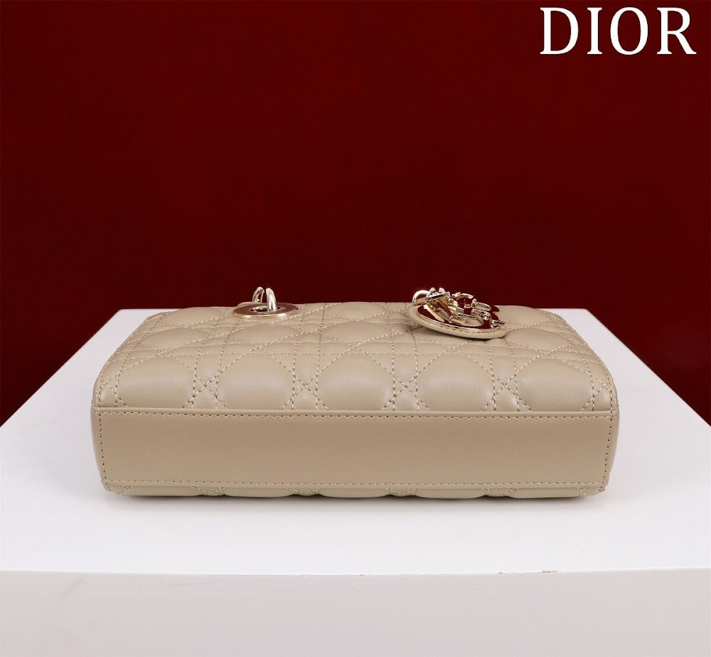 Anum Bags Diorn Luxury Bag --114768
