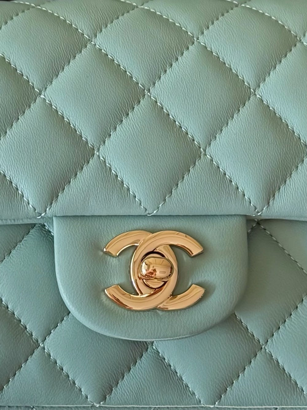 Anum Bags CHn Luxury Bag --112979