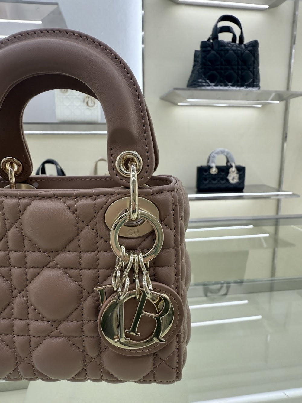 Ezyycart Bags Diorn Luxury Bag --115426