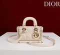 Ezyycart Bags Diorn Luxury Bag --115619
