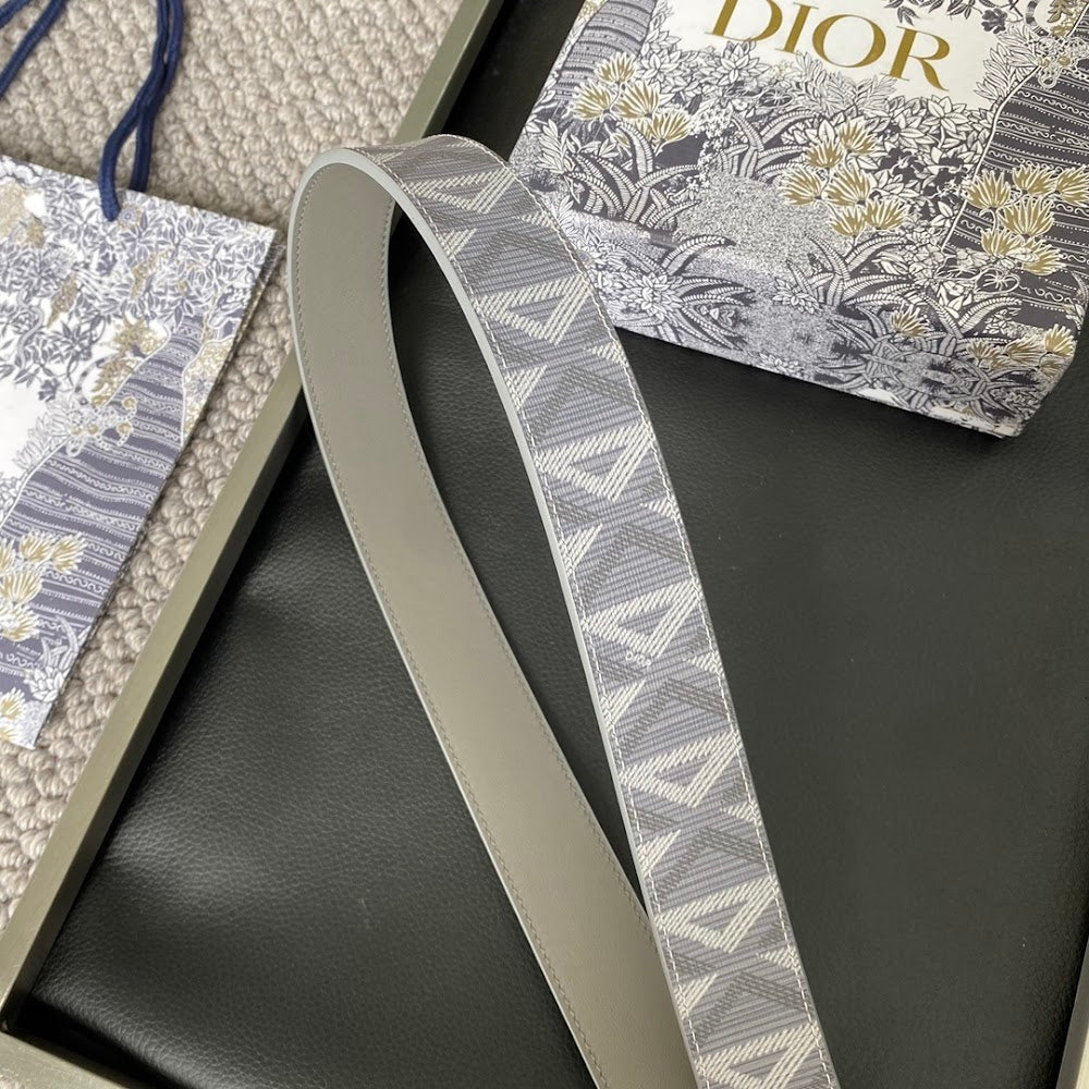 Anum Bags Diorn Luxury Belt --104896