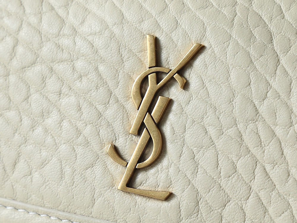 Ezyycart Bags YSLn Luxury Bag --120105
