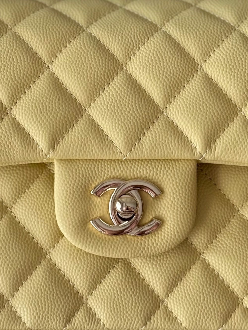 Anum Bags CHn Luxury Bag --112774