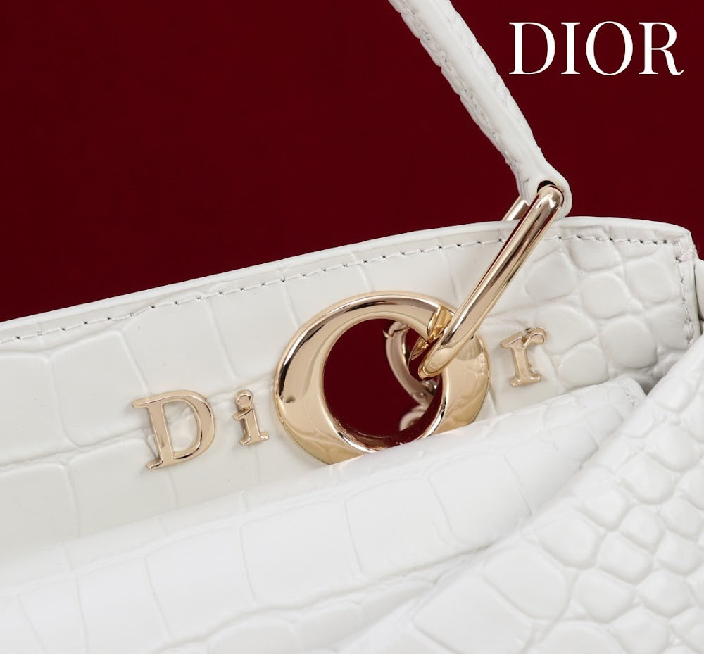 Anum Bags Diorn Luxury Bag --114793