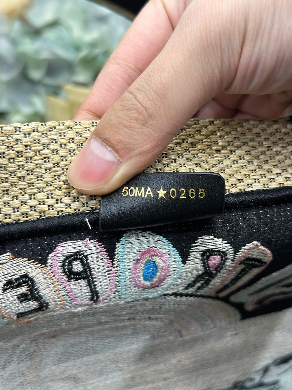 Ezyycart Bags Diorn Luxury Bag --115247