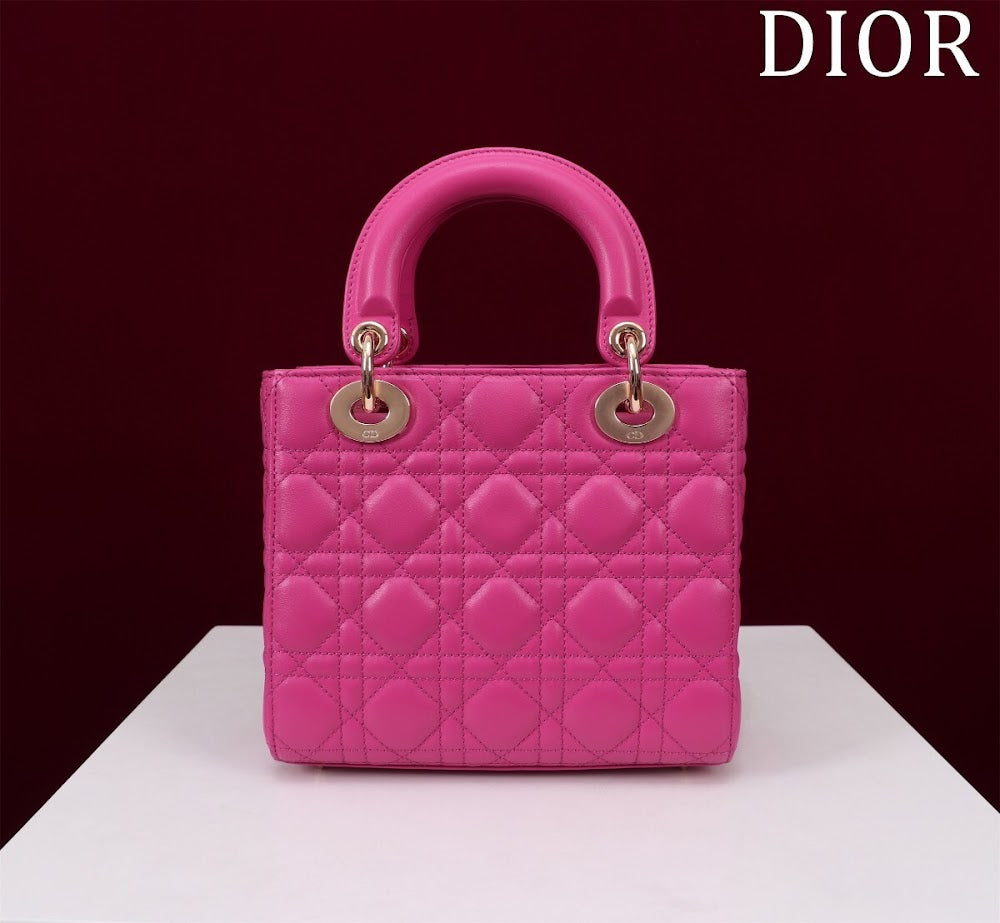 Ezyycart Bags Diorn Luxury Bag --115913