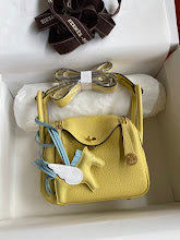 new-designer-premium-bags-nm11398