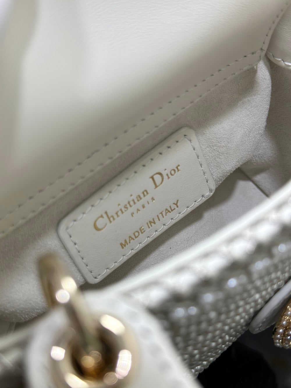 Anum Bags Diorn Luxury Bag --114465