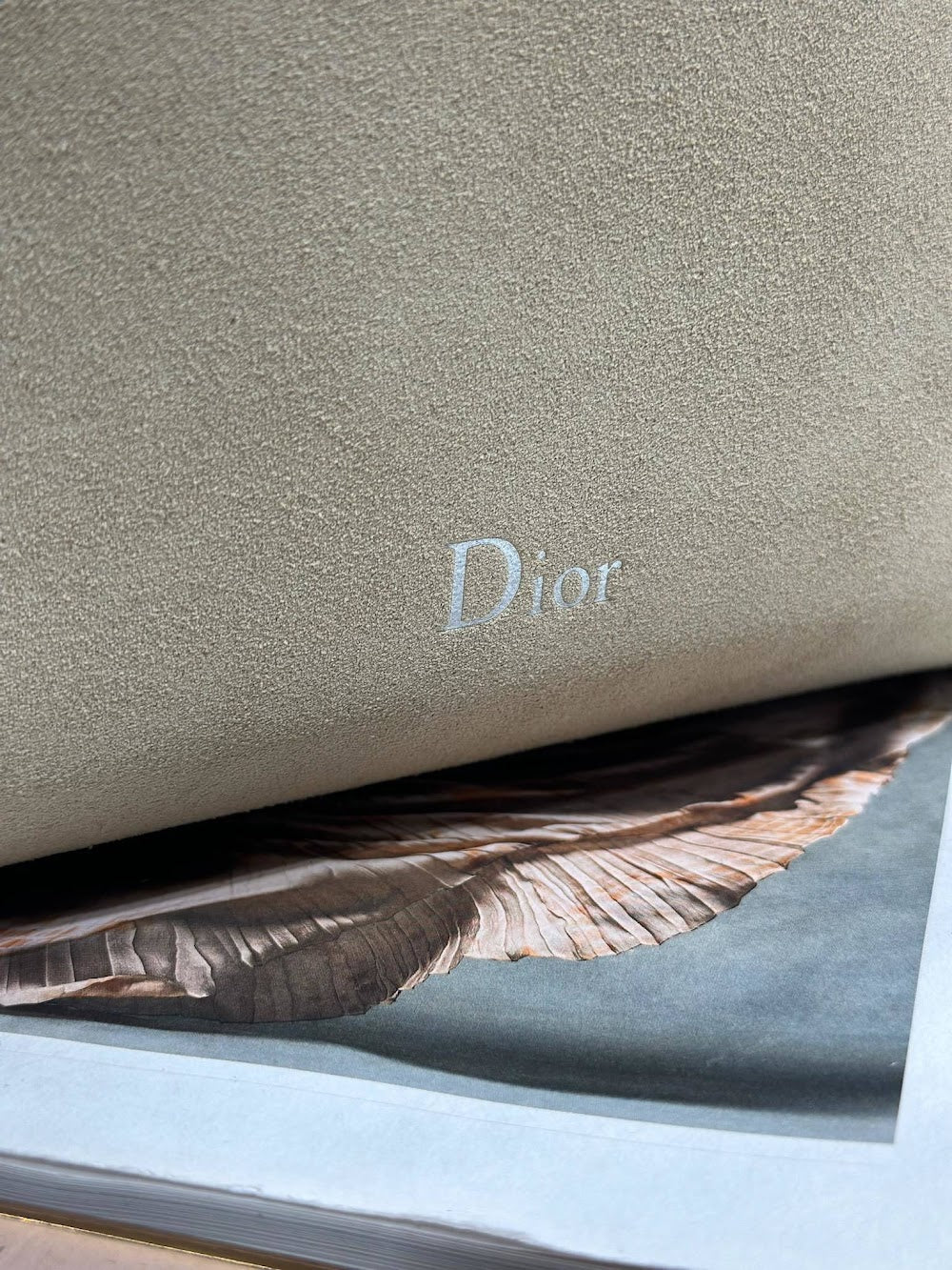 Ezyycart Bags Diorn Luxury Bag --115535