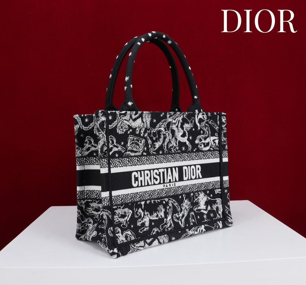 Anum Bags Diorn Luxury Bag --114894