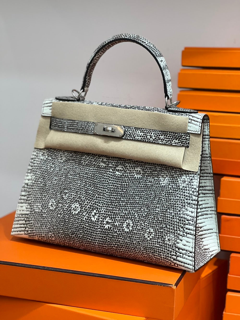 Anum Bags Hermesn Luxury Bag --117123